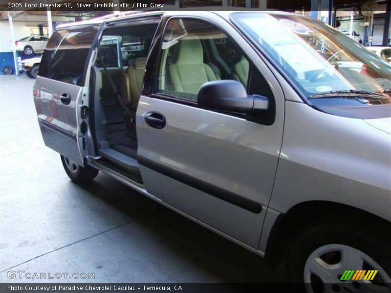 Silver Birch Metallic / Flint Grey 2005 Ford Freestar SE