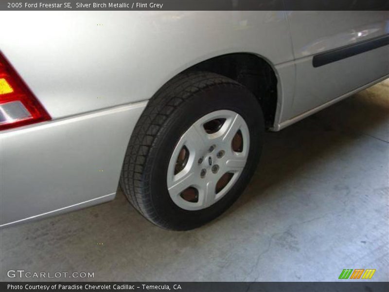 Silver Birch Metallic / Flint Grey 2005 Ford Freestar SE