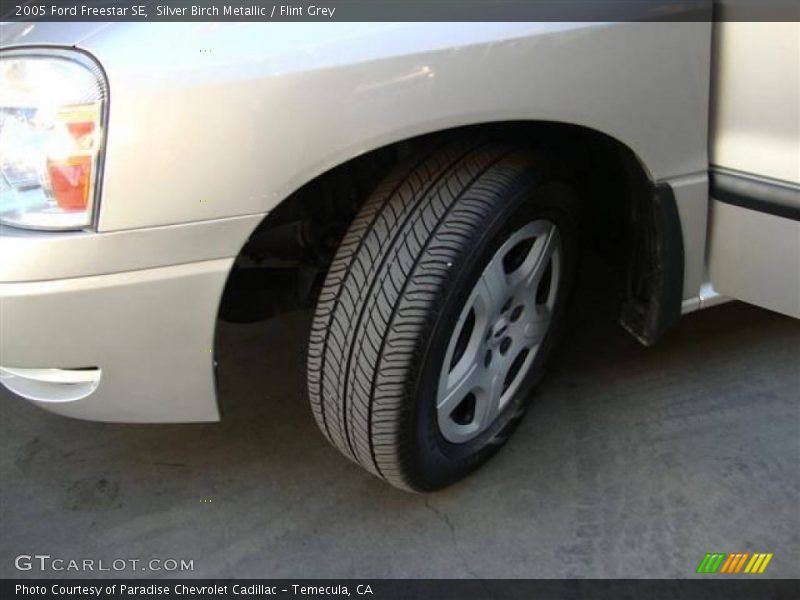 Silver Birch Metallic / Flint Grey 2005 Ford Freestar SE