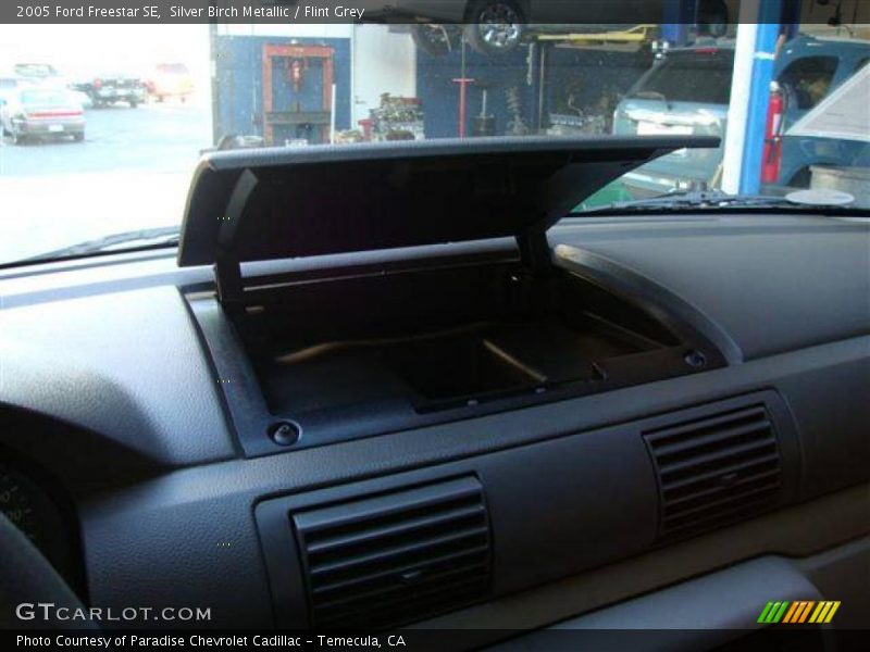 Silver Birch Metallic / Flint Grey 2005 Ford Freestar SE