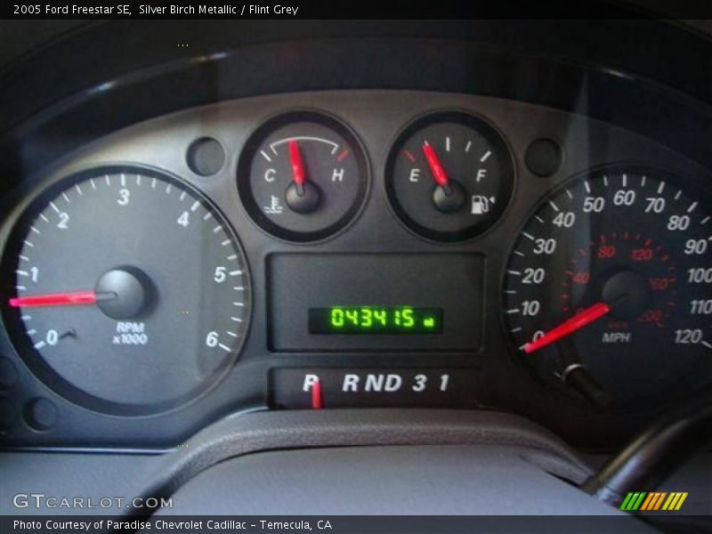 Silver Birch Metallic / Flint Grey 2005 Ford Freestar SE