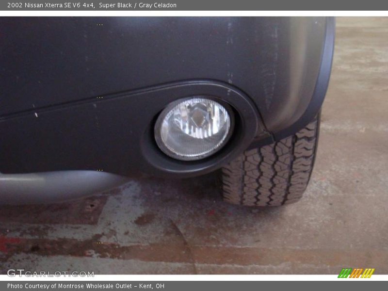 Super Black / Gray Celadon 2002 Nissan Xterra SE V6 4x4