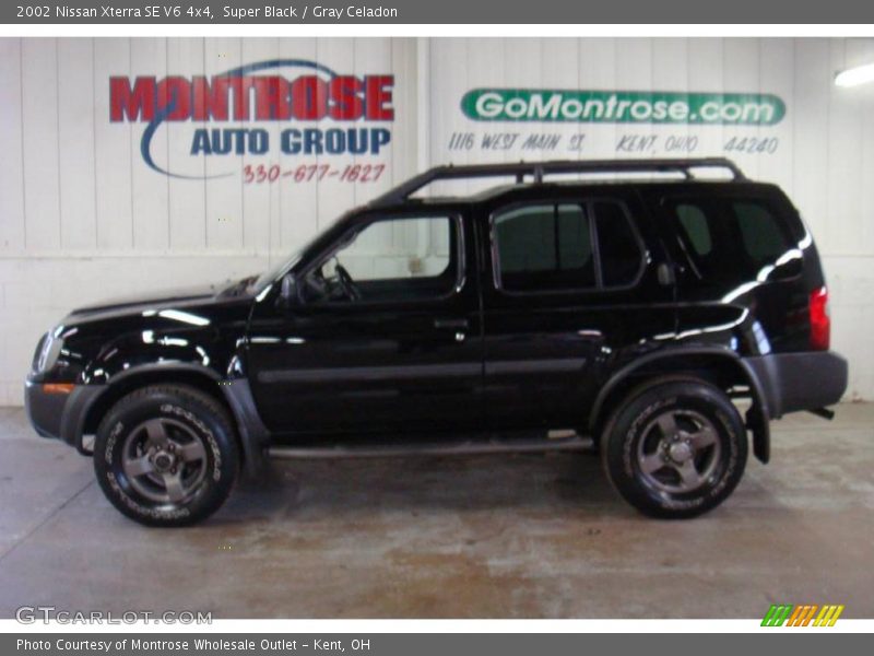 Super Black / Gray Celadon 2002 Nissan Xterra SE V6 4x4