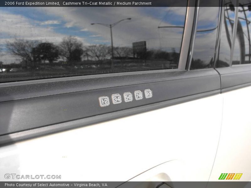 Cashmere Tri-Coat Metallic / Medium Parchment 2006 Ford Expedition Limited
