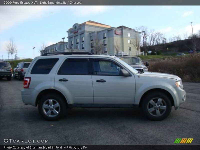 Light Sage Metallic / Charcoal 2009 Ford Escape XLT