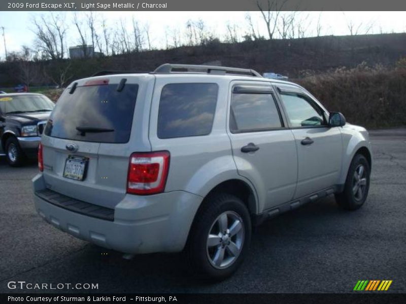 Light Sage Metallic / Charcoal 2009 Ford Escape XLT