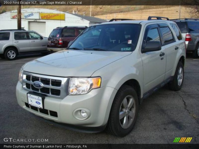 Light Sage Metallic / Charcoal 2009 Ford Escape XLT