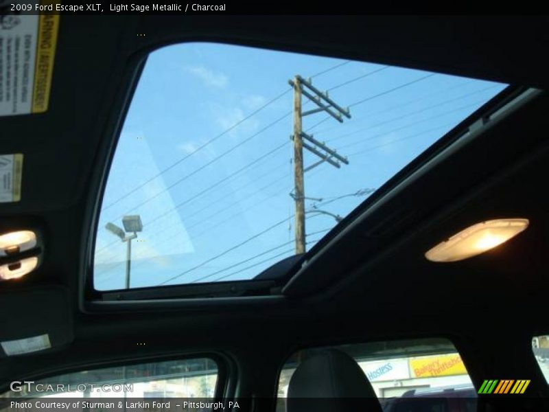 Light Sage Metallic / Charcoal 2009 Ford Escape XLT