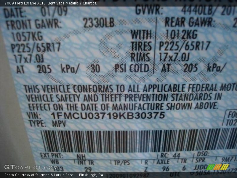 Light Sage Metallic / Charcoal 2009 Ford Escape XLT