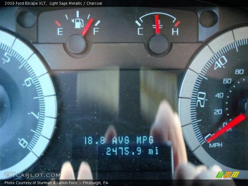 Light Sage Metallic / Charcoal 2009 Ford Escape XLT