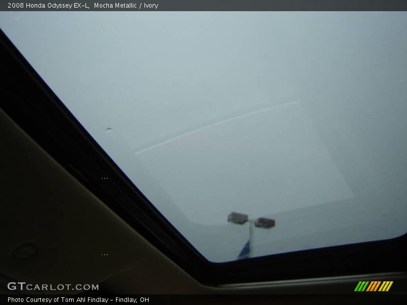 Mocha Metallic / Ivory 2008 Honda Odyssey EX-L