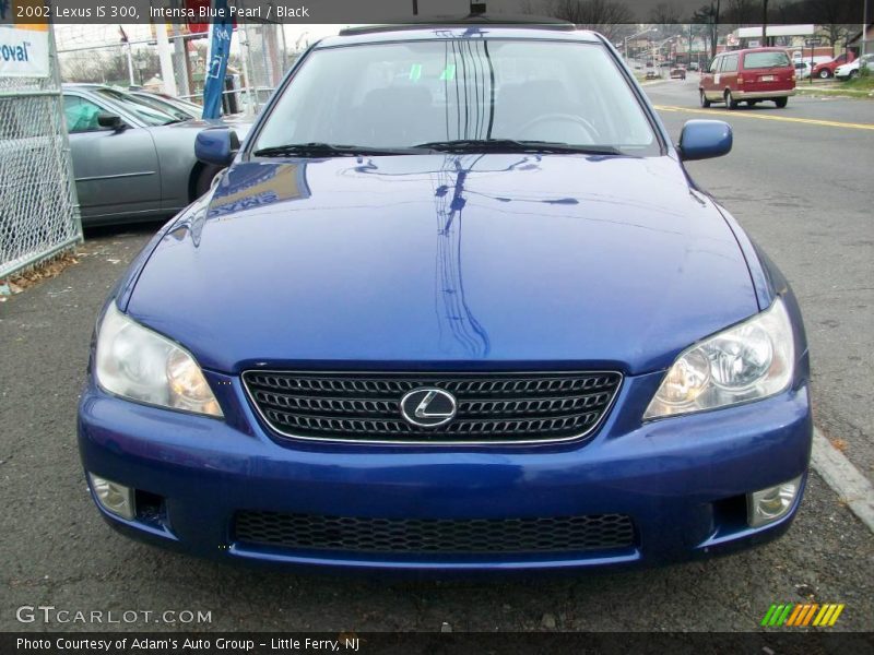 Intensa Blue Pearl / Black 2002 Lexus IS 300