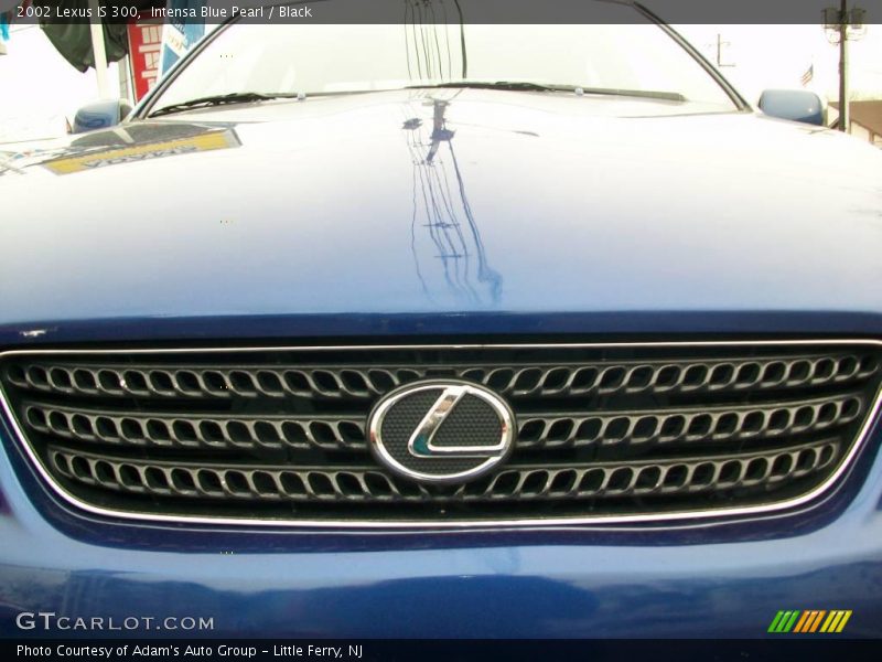 Intensa Blue Pearl / Black 2002 Lexus IS 300
