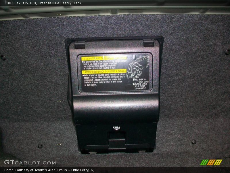 Intensa Blue Pearl / Black 2002 Lexus IS 300