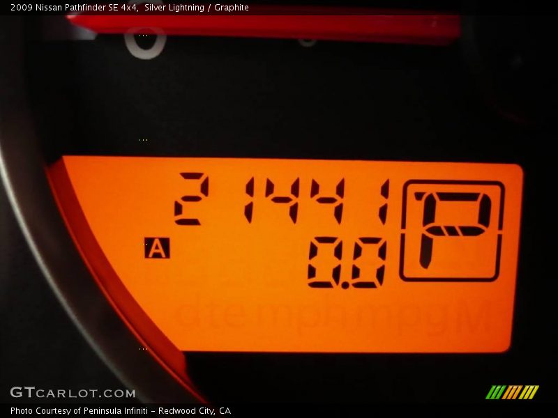 Silver Lightning / Graphite 2009 Nissan Pathfinder SE 4x4