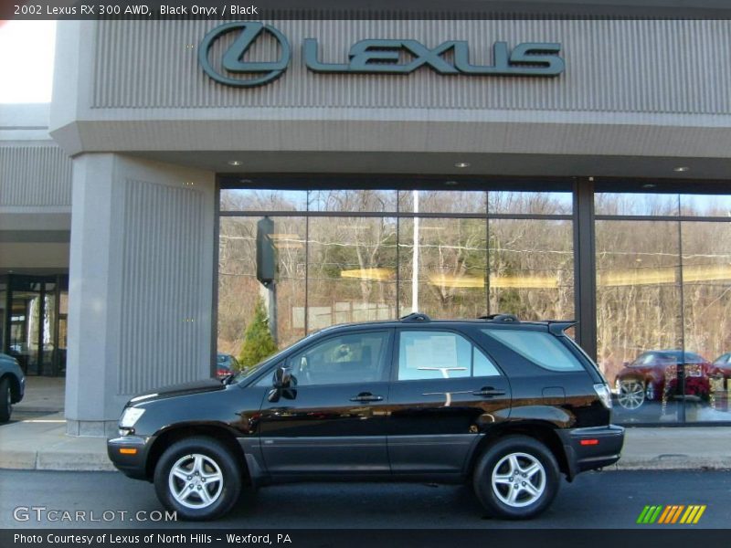 Black Onyx / Black 2002 Lexus RX 300 AWD