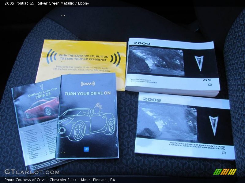 Silver Green Metallic / Ebony 2009 Pontiac G5