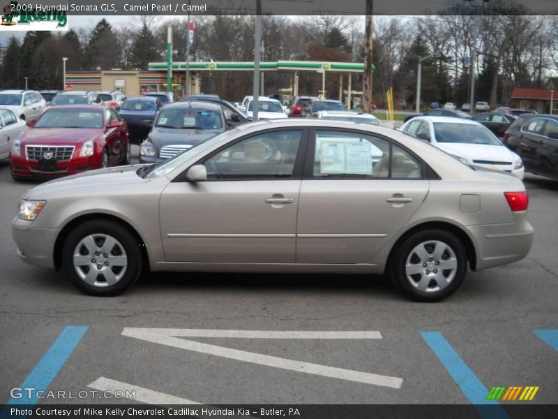 Camel Pearl / Camel 2009 Hyundai Sonata GLS