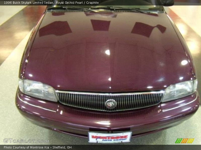 Royal Orchid Pearl / Graphite 1996 Buick Skylark Limited Sedan