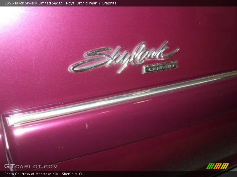 Royal Orchid Pearl / Graphite 1996 Buick Skylark Limited Sedan