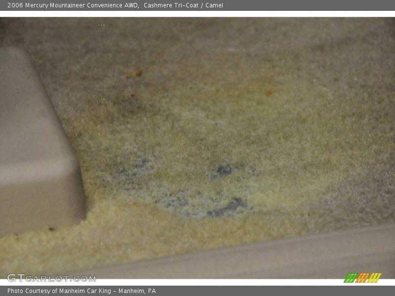 Cashmere Tri-Coat / Camel 2006 Mercury Mountaineer Convenience AWD