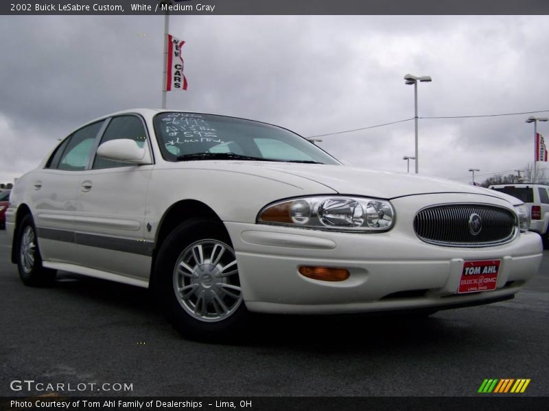 White / Medium Gray 2002 Buick LeSabre Custom