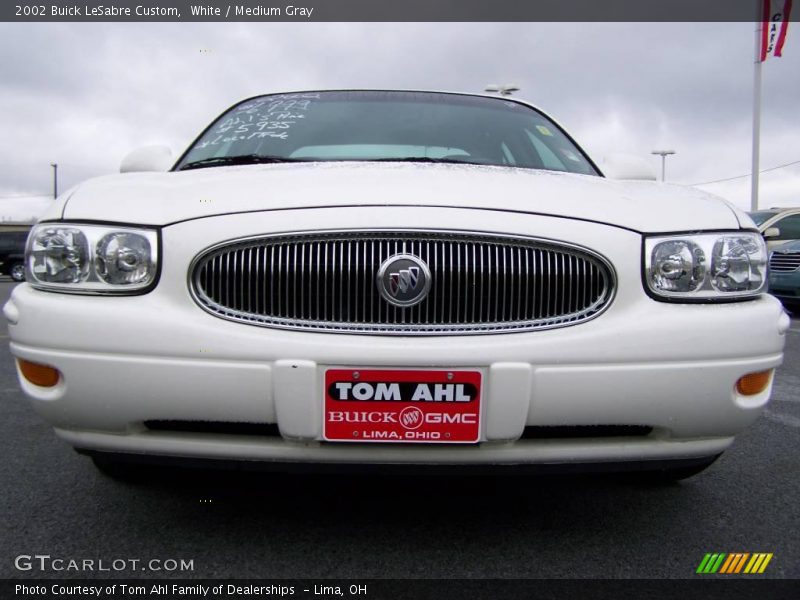 White / Medium Gray 2002 Buick LeSabre Custom