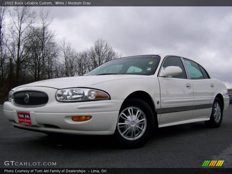 White / Medium Gray 2002 Buick LeSabre Custom