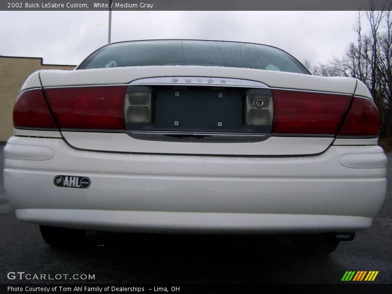 White / Medium Gray 2002 Buick LeSabre Custom