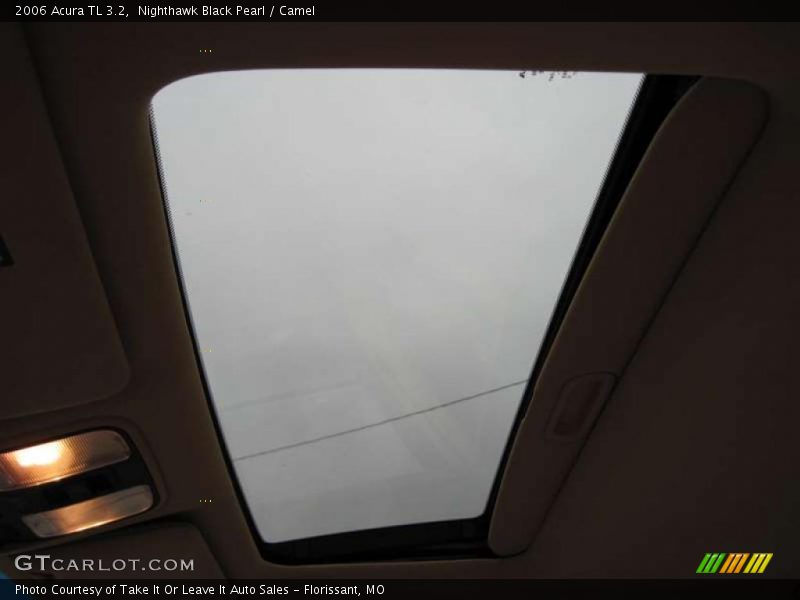 Nighthawk Black Pearl / Camel 2006 Acura TL 3.2