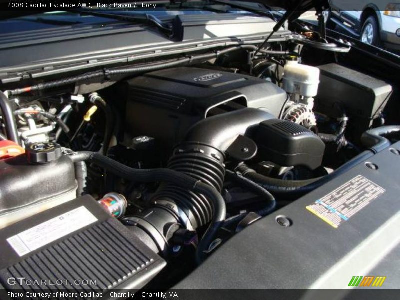 Black Raven / Ebony 2008 Cadillac Escalade AWD