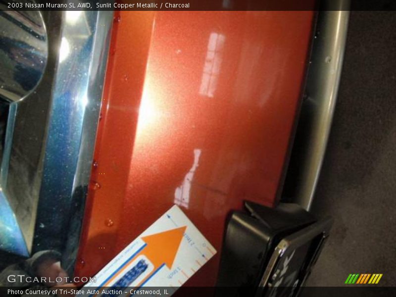 Sunlit Copper Metallic / Charcoal 2003 Nissan Murano SL AWD