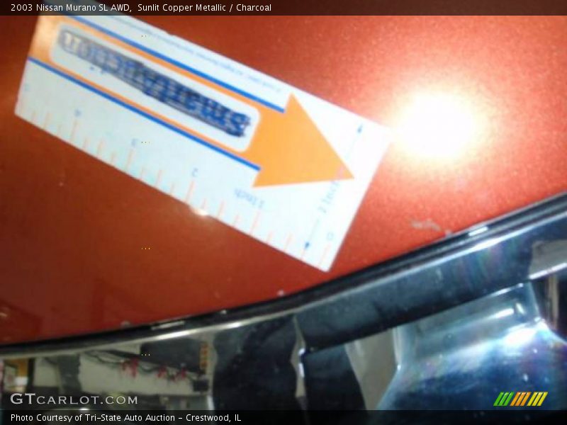 Sunlit Copper Metallic / Charcoal 2003 Nissan Murano SL AWD