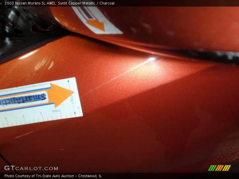 Sunlit Copper Metallic / Charcoal 2003 Nissan Murano SL AWD