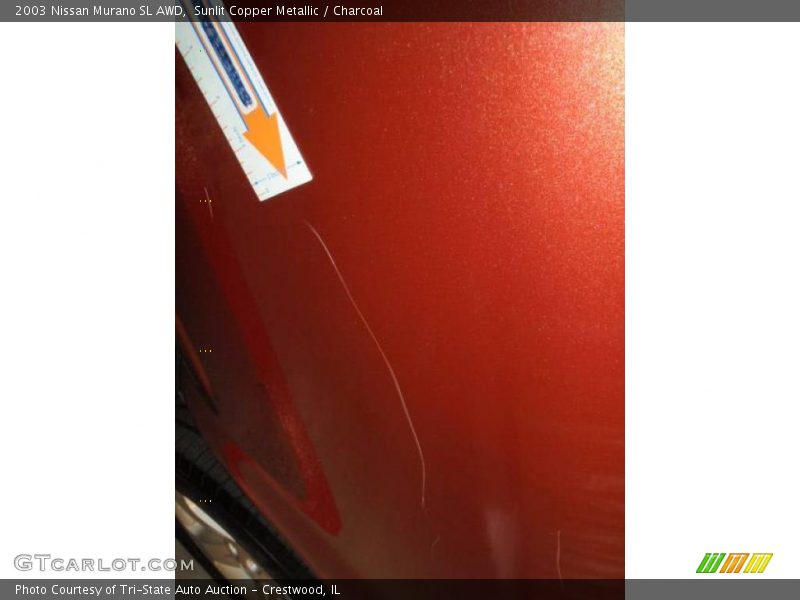 Sunlit Copper Metallic / Charcoal 2003 Nissan Murano SL AWD