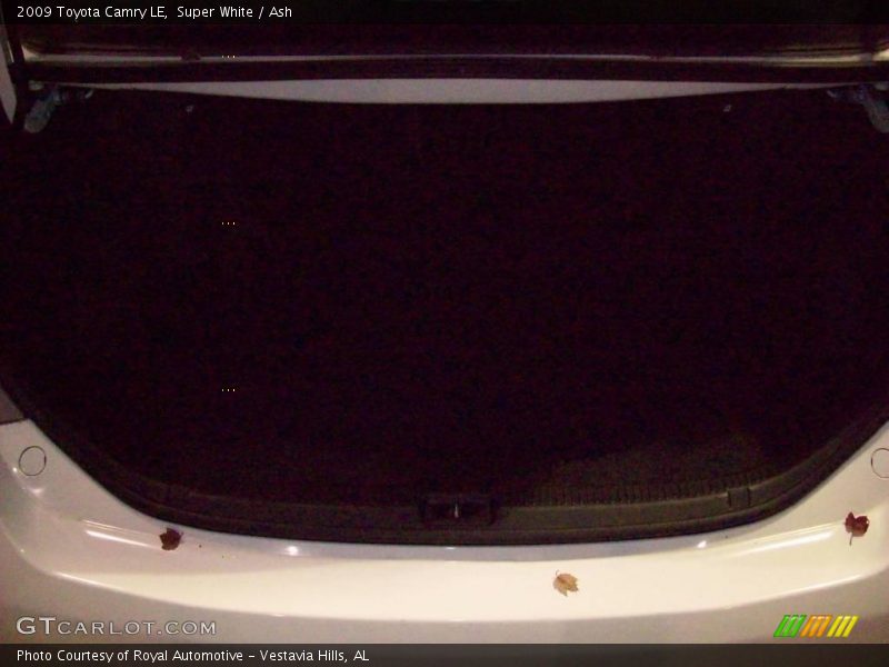 Super White / Ash 2009 Toyota Camry LE