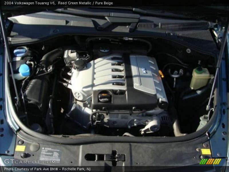 Reed Green Metallic / Pure Beige 2004 Volkswagen Touareg V6