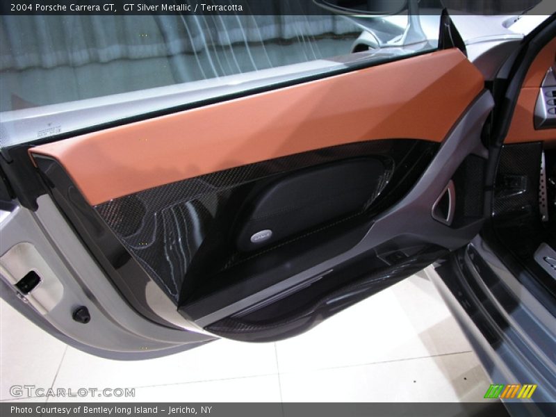 Door Panel of 2004 Carrera GT 