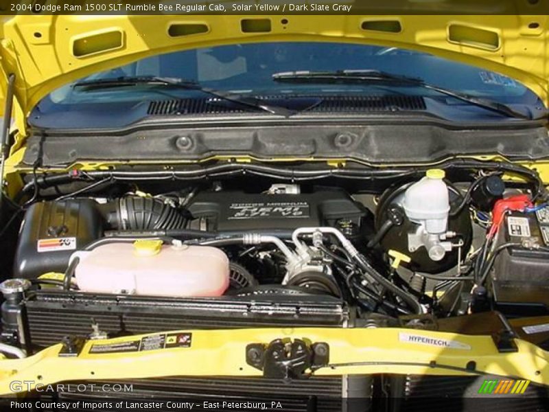 Solar Yellow / Dark Slate Gray 2004 Dodge Ram 1500 SLT Rumble Bee Regular Cab