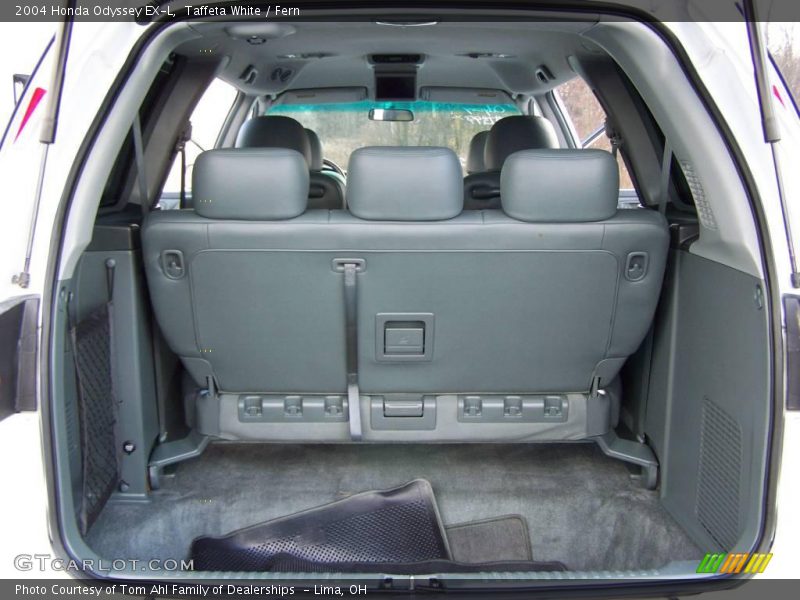 Taffeta White / Fern 2004 Honda Odyssey EX-L