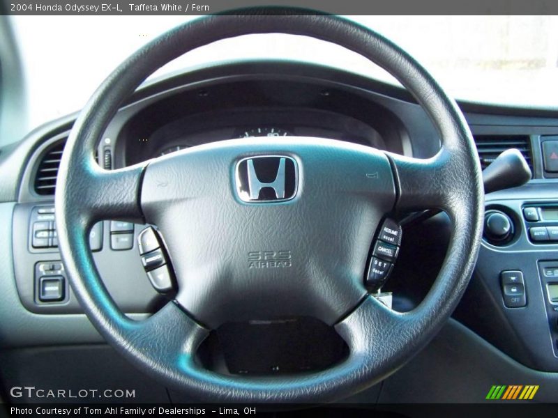 Taffeta White / Fern 2004 Honda Odyssey EX-L