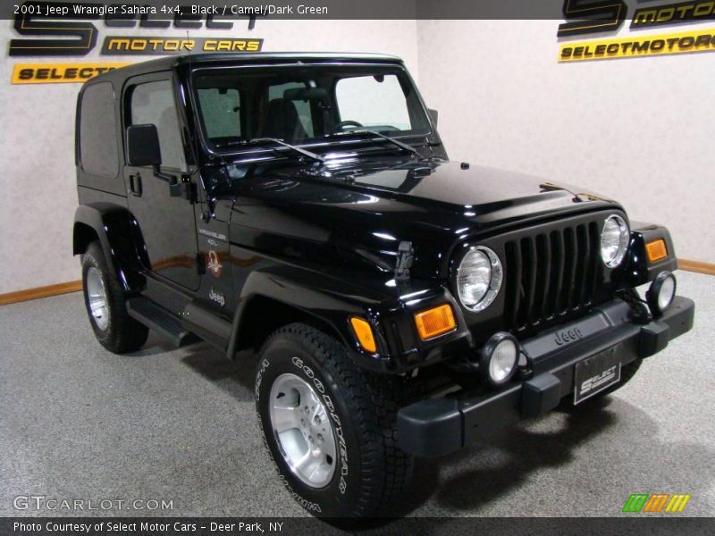 Black / Camel/Dark Green 2001 Jeep Wrangler Sahara 4x4