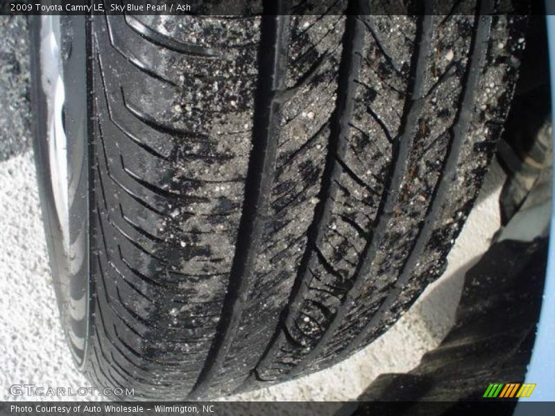 Sky Blue Pearl / Ash 2009 Toyota Camry LE