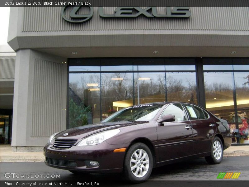 Black Garnet Pearl / Black 2003 Lexus ES 300
