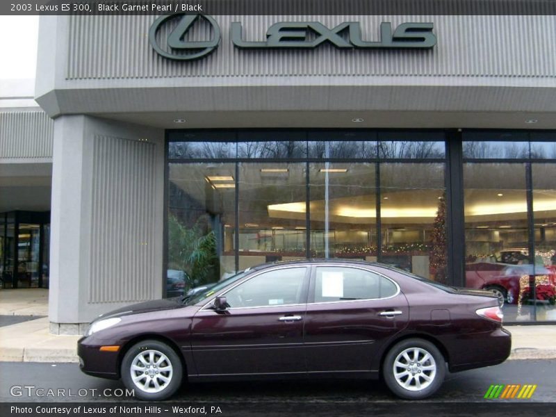 Black Garnet Pearl / Black 2003 Lexus ES 300