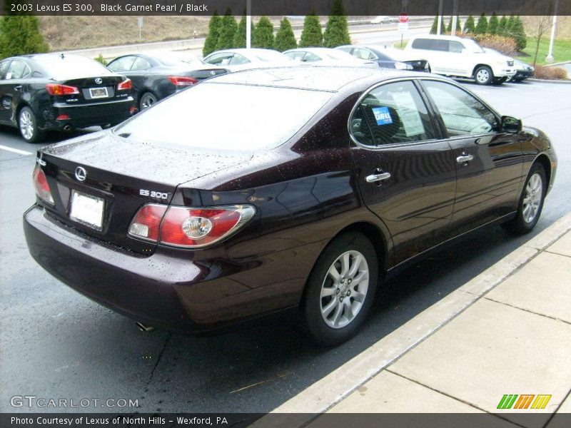 Black Garnet Pearl / Black 2003 Lexus ES 300