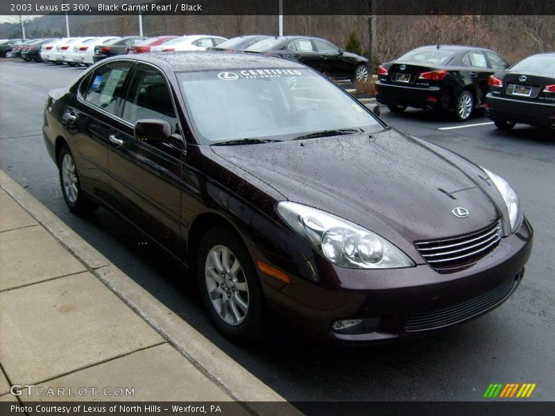 Black Garnet Pearl / Black 2003 Lexus ES 300