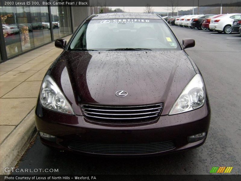 Black Garnet Pearl / Black 2003 Lexus ES 300