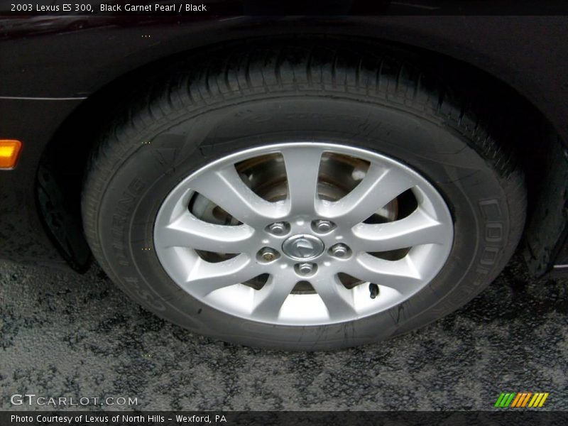 Black Garnet Pearl / Black 2003 Lexus ES 300