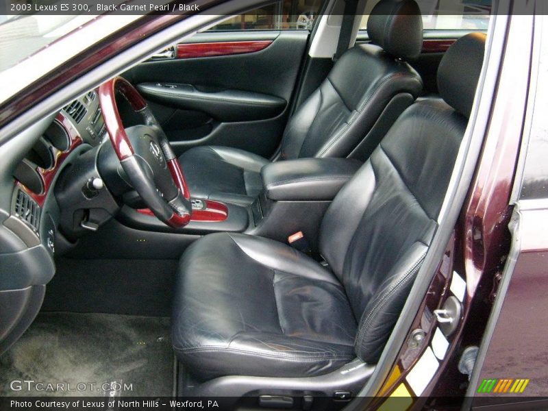 Black Garnet Pearl / Black 2003 Lexus ES 300